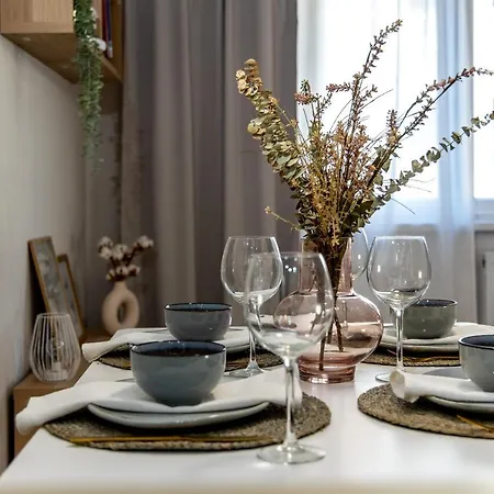 Wanderer Center Apartment Debrecen